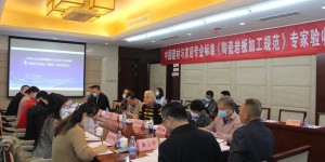 我国建陶行业首份《陶瓷岩板加工规范》标准在京通过审定验收