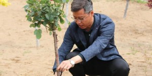 河北科技学院曹妃甸校区再添新绿十万株花卉落户校园