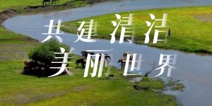 助力碳中和 安然纳米在行动  ——2022 年度公益植树活动圆满收官