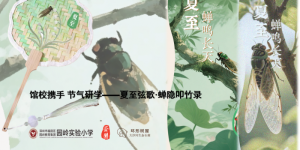 园岭实验小学携手荃园开展夏至主题实践活动，探索节气之美