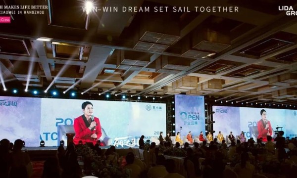 央视专访山东丽达董事长张芳-见证百年民族品牌的崛起
