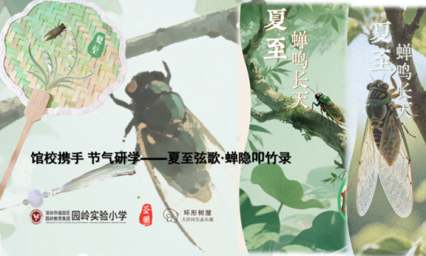 园岭实验小学携手荃园开展夏至主题实践活动，探索节气之美