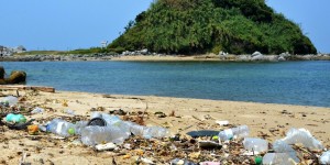 重磅！全球首款趋海塑料标签“芬蓝海保”来袭！, 打响海洋保卫战